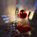 Kit Wedding Proposal
